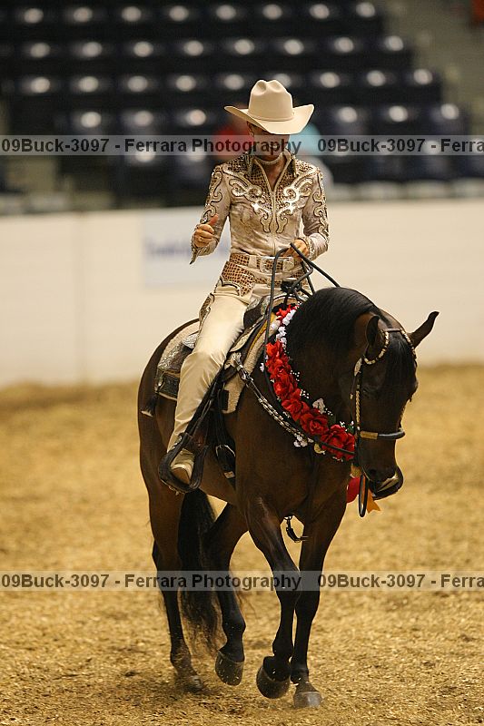 Proof 09buck-3097