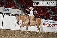 09buck-3100 proof