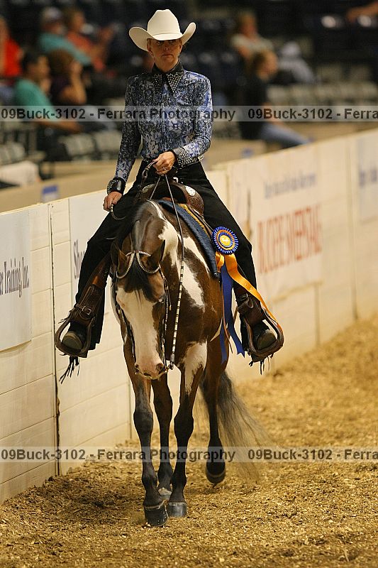 Proof 09buck-3102