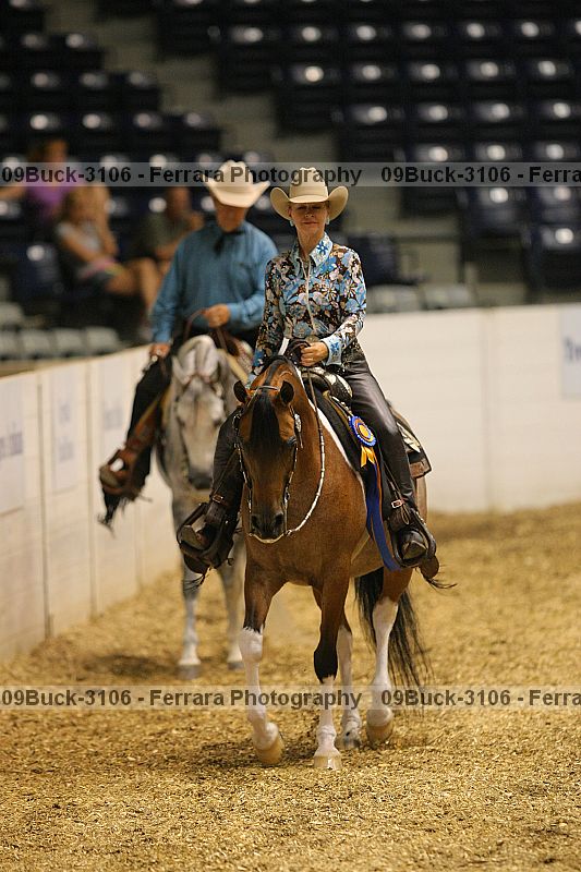 Proof 09buck-3106