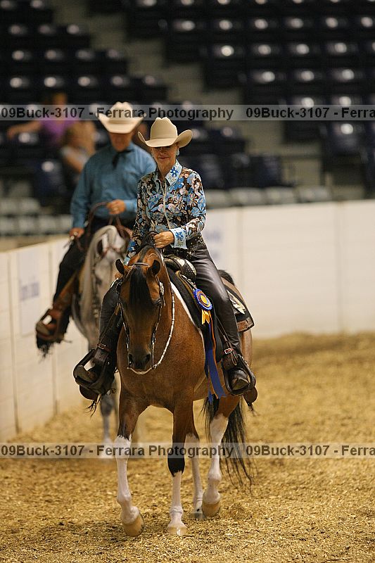 Proof 09buck-3107