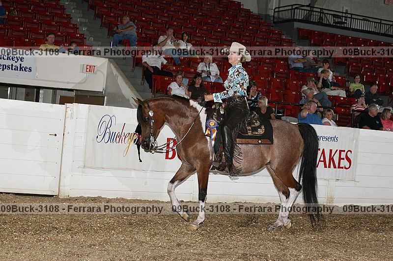 Proof 09buck-3108
