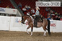 09buck-3108 proof