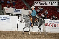 09buck-3109 proof