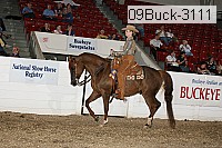 09buck-3111 proof