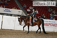 09buck-3114 proof
