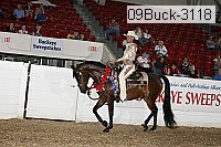 09buck-3118 proof