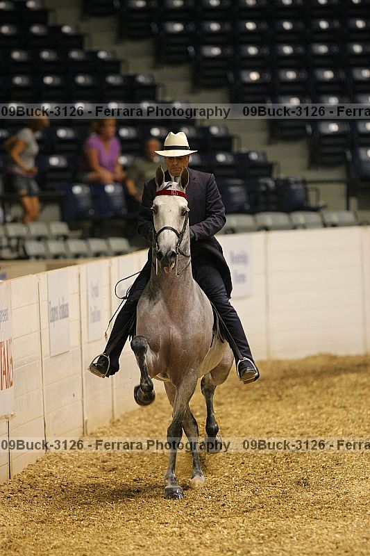 Proof 09buck-3126