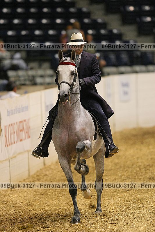 Proof 09buck-3127