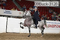 09buck-3128 proof