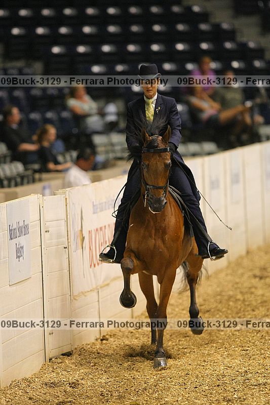 Proof 09buck-3129