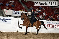 09buck-3131 proof