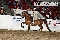 09buck-3132 proof