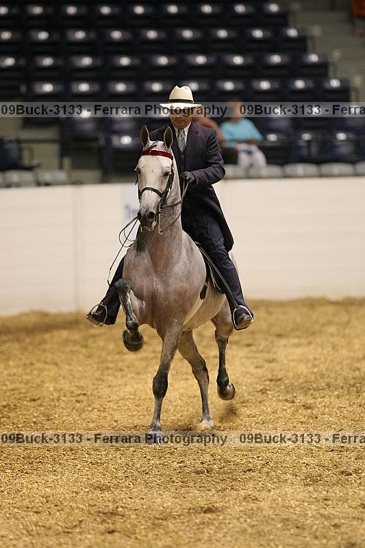 Proof 09buck-3133
