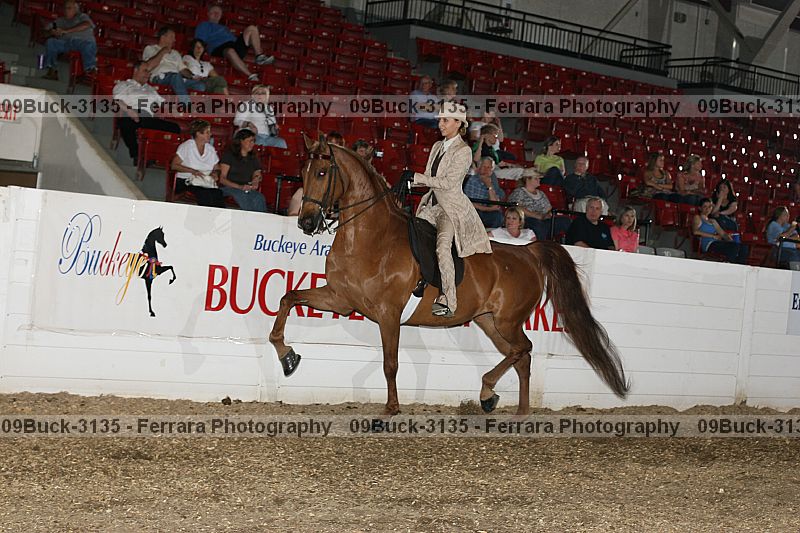 Proof 09buck-3135