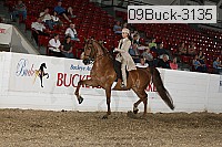09buck-3135 proof