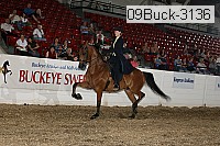 09buck-3136 proof