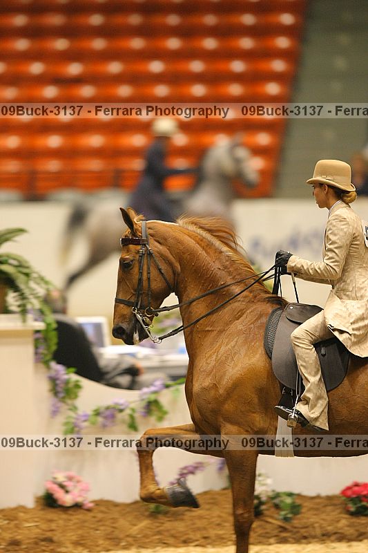 Proof 09buck-3137