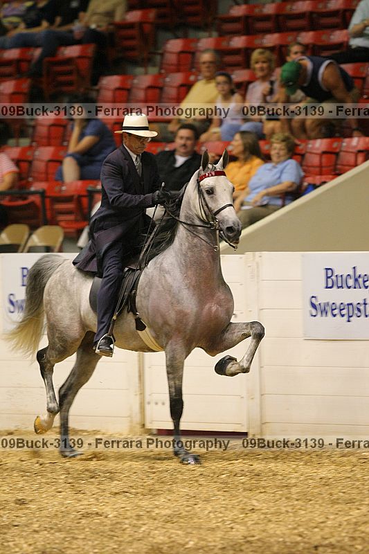 Proof 09buck-3139