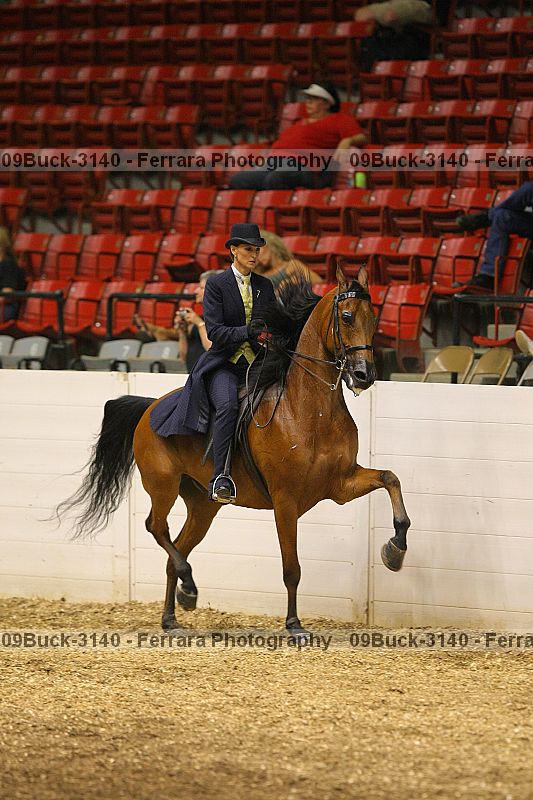 Proof 09buck-3140