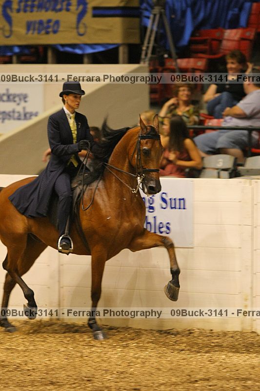 Proof 09buck-3141