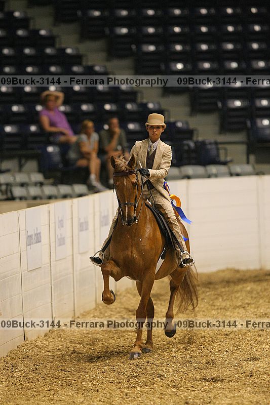 Proof 09buck-3144