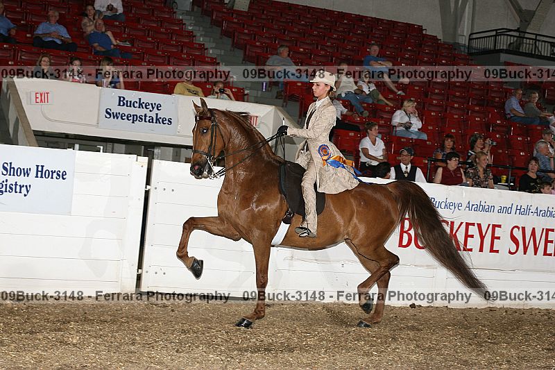 Proof 09buck-3148