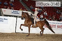 09buck-3148 proof