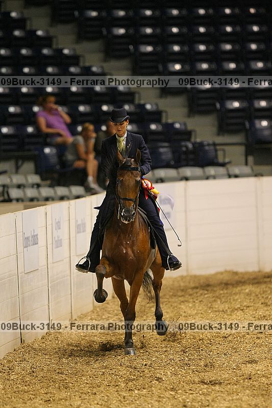 Proof 09buck-3149