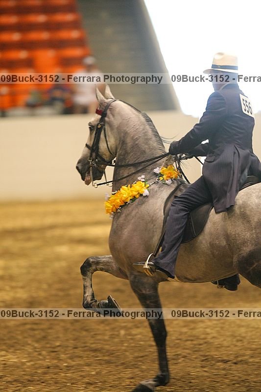 Proof 09buck-3152