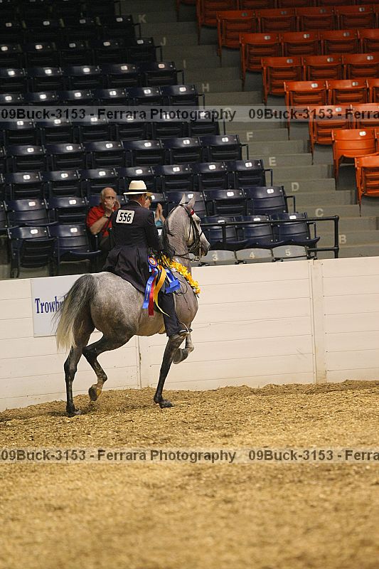 Proof 09buck-3153
