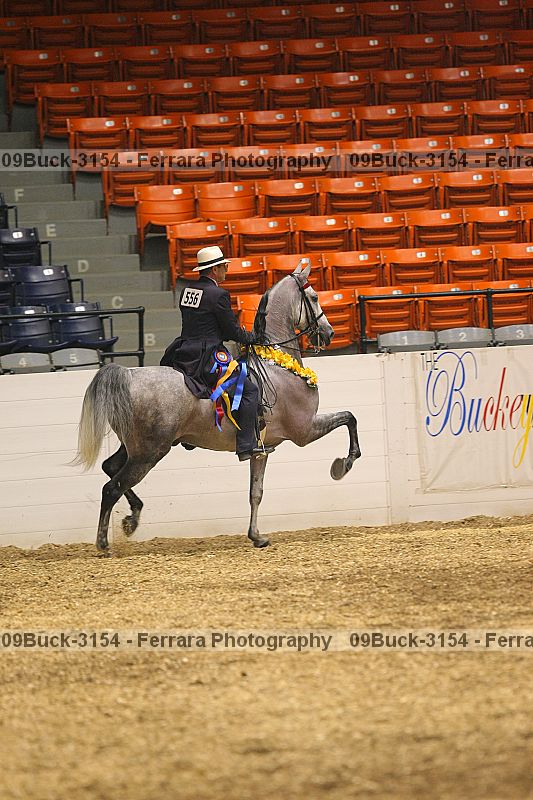 Proof 09buck-3154