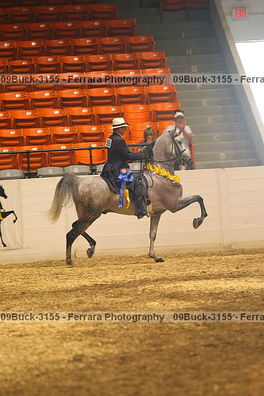 Proof 09buck-3155