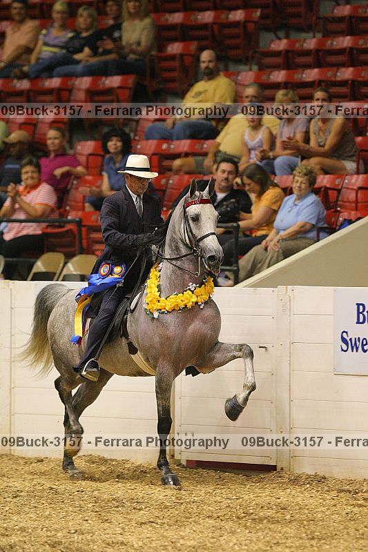 Proof 09buck-3157