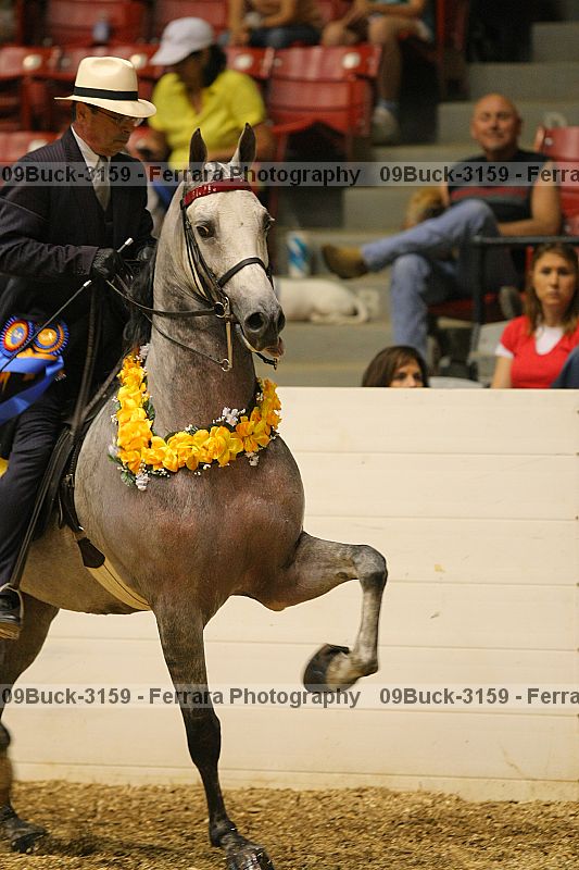 Proof 09buck-3159