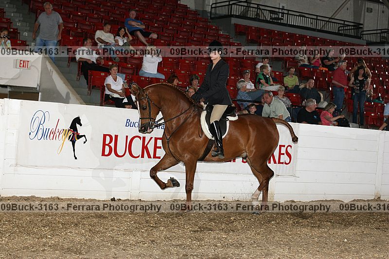 Proof 09buck-3163