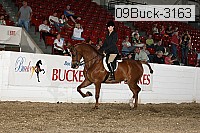 09buck-3163 proof