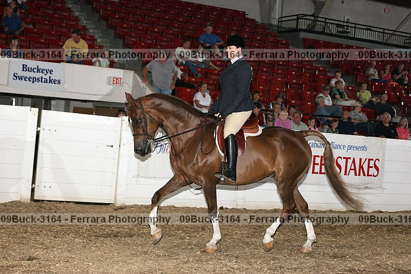 Proof 09buck-3164