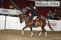 09buck-3164 proof