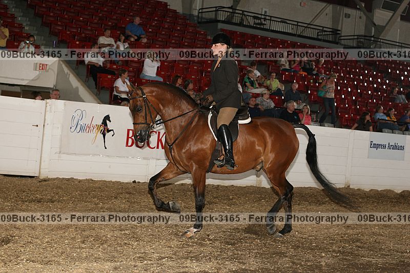 Proof 09buck-3165