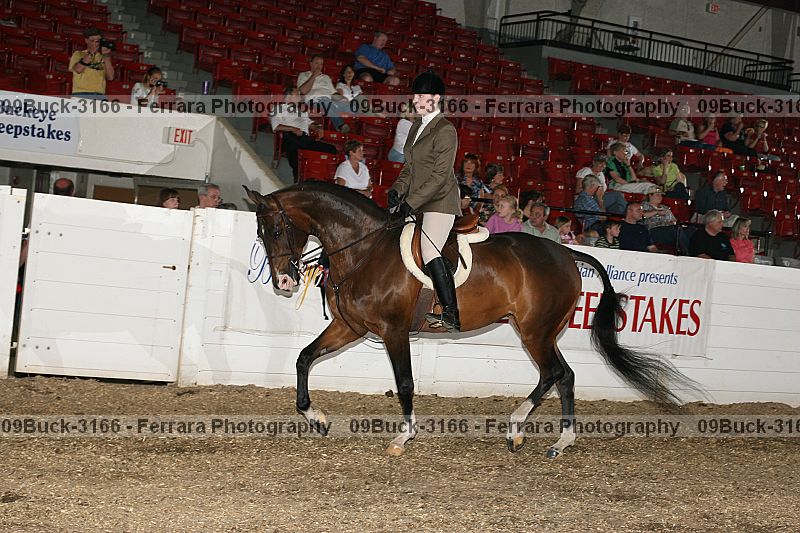 Proof 09buck-3166