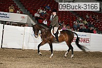 09buck-3166 proof