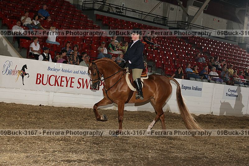 Proof 09buck-3167