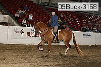 09buck-3168 proof