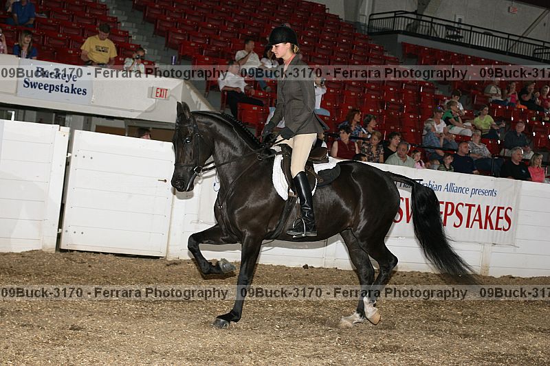 Proof 09buck-3170