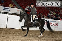 09buck-3170 proof