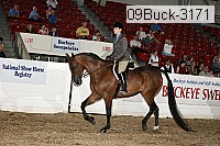 09buck-3171 proof