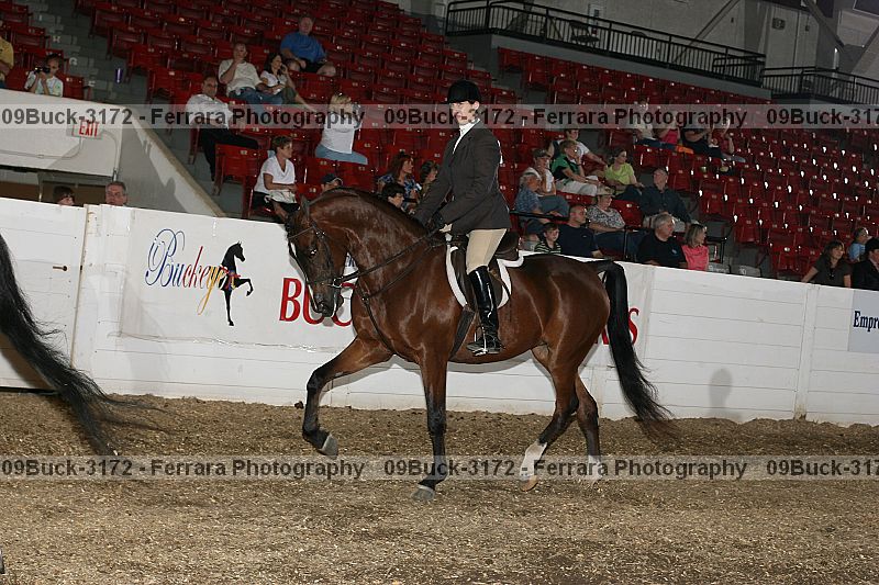 Proof 09buck-3172