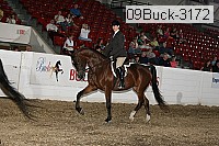 09buck-3172 proof