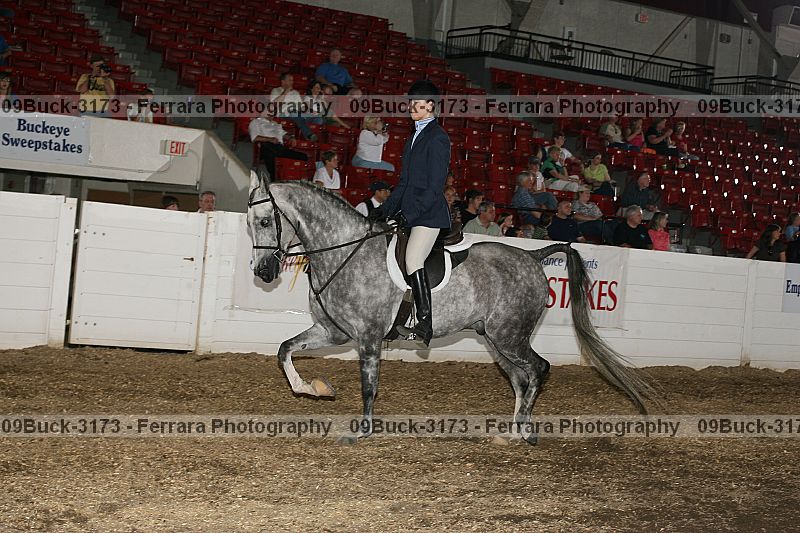 Proof 09buck-3173